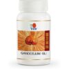 Ganocelium (GL) DXN 30 капсули – 14-дневен мицел от Ганодерма луцидум, произведен по GMP стандарти.