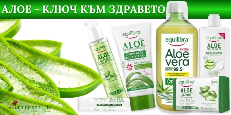 Equilibra продукти с алое вера – гел, шампоан, сок и балсам за здраве и красота